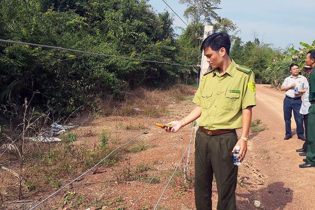 Kiến nghị xây thêm 20km hàng rào điện bảo vệ voi rừng - Ảnh 1. Kiến nghị xây thêm 20km hàng rào điện bảo vệ voi rừng - Ảnh 1.