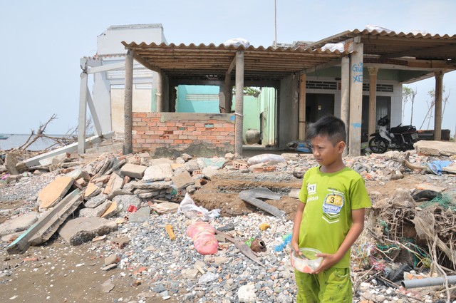 Dân thấp thỏm vì rừng phòng hộ đê biển bị xâm thực - Ảnh 1. Dân thấp thỏm vì rừng phòng hộ đê biển bị xâm thực - Ảnh 1.