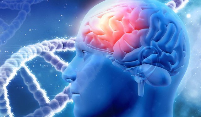 Tổn thương não nhẹ cũng tăng nguy cơ bệnh Parkinson - Ảnh 1. Tổn thương não nhẹ cũng tăng nguy cơ bệnh Parkinson - Ảnh 1.