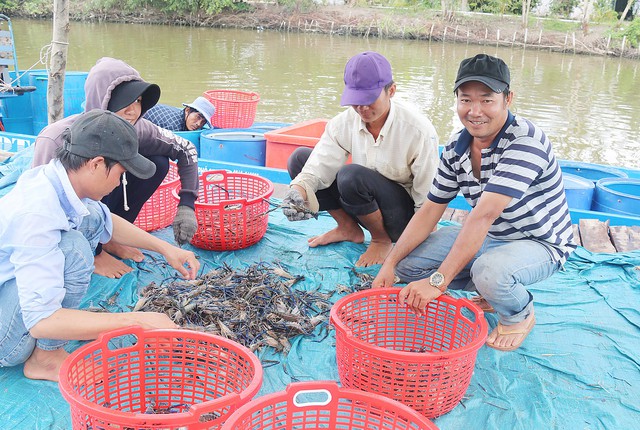 Chuyển đổi để thích nghi - Ảnh 2. Chuyển đổi để thích nghi - Ảnh 2.