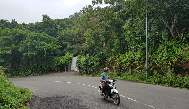 Sẽ chuyển sai phạm ở Sơn Trà cho cơ quan điều tra - Ảnh 3. Sẽ chuyển sai phạm ở Sơn Trà cho cơ quan điều tra - Ảnh 3.