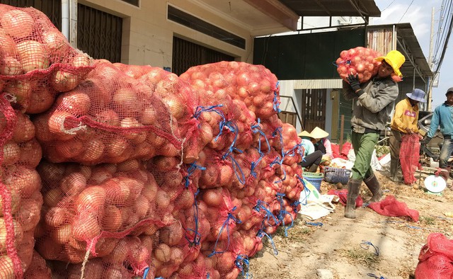 Mỗi nông dân sẽ có thu nhập 66 triệu đồng/năm - Ảnh 1. Mỗi nông dân sẽ có thu nhập 66 triệu đồng/năm - Ảnh 1.