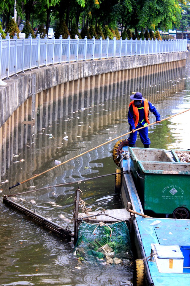 Cá chết nổi nhiều ở kênh Nhiêu Lộc - Thị Nghè - Ảnh 4. Cá chết nổi nhiều ở kênh Nhiêu Lộc - Thị Nghè - Ảnh 4.