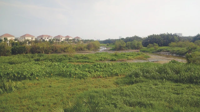 Có nên mua đất nền lúc này? - Ảnh 1. Có nên mua đất nền lúc này? - Ảnh 1.