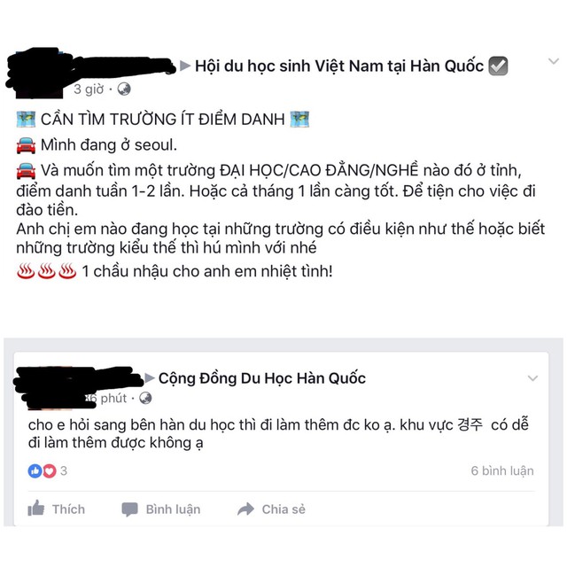 Du học Hàn Quốc để kiếm tiền trả nợ, làm giàu? - Ảnh 2. Du học Hàn Quốc để kiếm tiền trả nợ, làm giàu? - Ảnh 2.