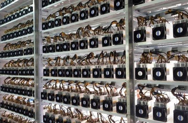 Người Việt mua gần 8.000 “trâu cày” Bitcoin chỉ trong 3 tuần - Ảnh 1. Người Việt mua gần 8.000 “trâu cày” Bitcoin chỉ trong 3 tuần - Ảnh 1.