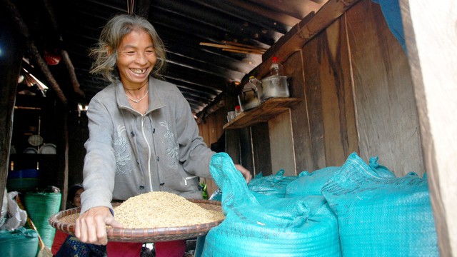 Cánh đồng trên tháp núi - Ảnh 3. Cánh đồng trên tháp núi - Ảnh 3.