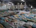 Xuất khẩu gạo 2017: Tăng trưởng vượt kỳ vọng