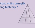 Đố vui... nổ não: Có bao nhiêu hình tam giác trong ảnh?