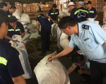 Gần 3,8 tấn vảy tê tê nhập lậu từ Congo vào Việt Nam