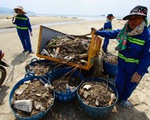 Bãi biển Đà Nẵng ngập rác sau mưa lớn