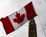 Thượng viện Canada phê chuẩn luật cho dùng cần sa tiêu khiển