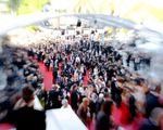 Diễn viên Hollywood đến Cannes làm gái mại dâm với giá khủng