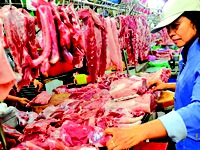 Nháo nhào vì 5.000 con heo bị tiêm chất an thần