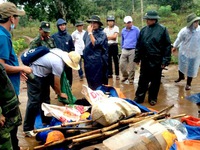 Vụ bắn chết 3 người tranh chấp đất: Truy tố phó giám đốc công ty Long Sơn