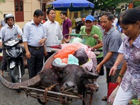 Lấy sự tàn bạo của chọi trâu làm trò vui lễ hội?