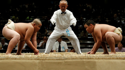 Amami Oshima: Hòn đảo của những đô vật Sumo giỏi nhất