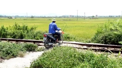 Tiềm ẩn tai nạn giao thông tại đường ngang dân sinh tự phát ở Thanh Hóa