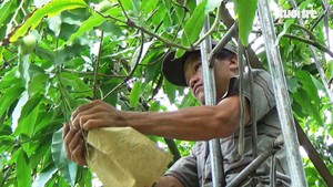 Nhọc nhằn nghề “ăn cơm dưới đất, làm việc trên trời”