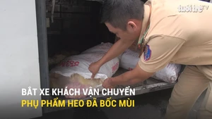 Bắt xe khách vận chuyển phụ phẩm heo đã bốc mùi