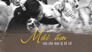 Mái ấm của những chú chó, mèo bị bỏ rơi