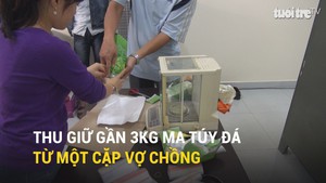 Thu giữ gần 3 kg ma túy đá từ một cặp vợ chồng