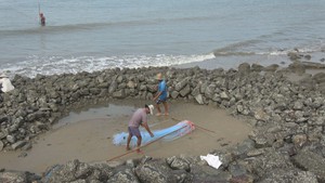 Độc đáo những “ruộng cá” trên biển