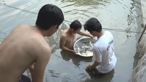 Trữ cá đồng, nguồn thu nhập sau khi lũ rút