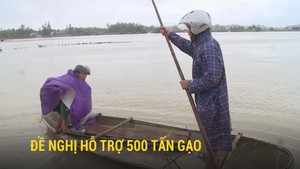 Sau mưa lũ, Quảng Ngãi đề nghị hỗ trợ 500 tấn gạo, 191 tỉ đồng