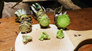 Wasabi bạn ăn có lẽ không phải là wasabi