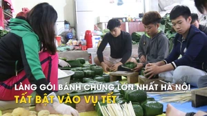 Làng gói bánh chưng lớn nhất Hà Nội tất bật vào vụ Tết