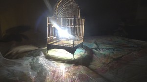 Thưởng thức nghệ thuật thị giác và sắp đặt qua triển lãm “Sau cơn mưa”