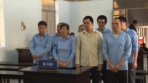 8 người lãnh 128 năm tù do tranh chấp đất lâm nghiệp