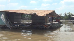 Sà lan chở than đá tông chìm bè cá lóc, thiệt hại trên 1 tỷ đồng