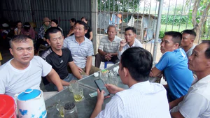Sở Ngoại vụ Nghệ An nhận 8 trình báo con “mất liên lạc” khi qua Anh
