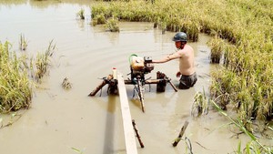 Mưa lớn, triều cường dâng cao làm 437 ha lúa thu đông bị ngập