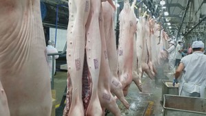 Thói quen dùng thịt nóng không là mãi mãi
