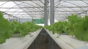 Lâm Đồng: Nguồn lực phát triển nông nghiệp chưa tương xứng nhu cầu