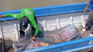 Một ngư dân bị tàu chưa rõ quốc tịch bắn chết trên biển