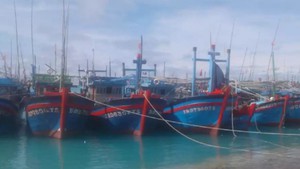 Ngư dân tiếp tục vào các Âu tàu để tránh trú áp thấp nhiệt đới trên Biển Đông