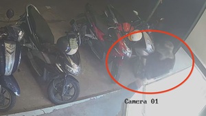 Táo tợn dùng búa cướp tiệm vàng ở Quảng Ngãi