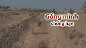 Góc nhìn trưa nay | Nắng nóng kéo dài, nông dân gồng mình chống hạn