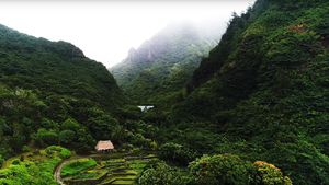 Khám phá thung lũng Limahuli, nơi có nhiều loài thực vật cổ đại nhất ở Hawaii