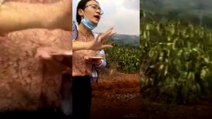 Nữ trưởng phòng TN-MT xưng mày tao khi làm việc