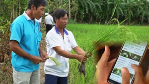 Tin nóng 24h: Những lão nông sắm smartphone để tính chuyện “mần ăn”