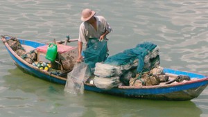 Ngư dân sử dụng lờ bát quái tận diệt thủy sản