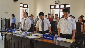 12 giáo viên huyện Tuy Hòa, Phú Yên thắng kiện, được bồi thường hơn 840 triệu đồng