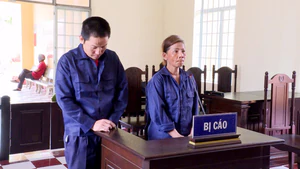 Nữ chủ quán cà phê kích dục cùng người tình trẻ lãnh 17 năm tù