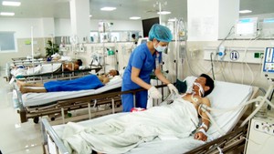 Chui vào hầm chứa cá, năm người nhập viện