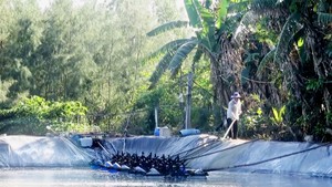 Đe dọa ô nhiễm môi trường biển từ nước thải hồ nuôi tôm